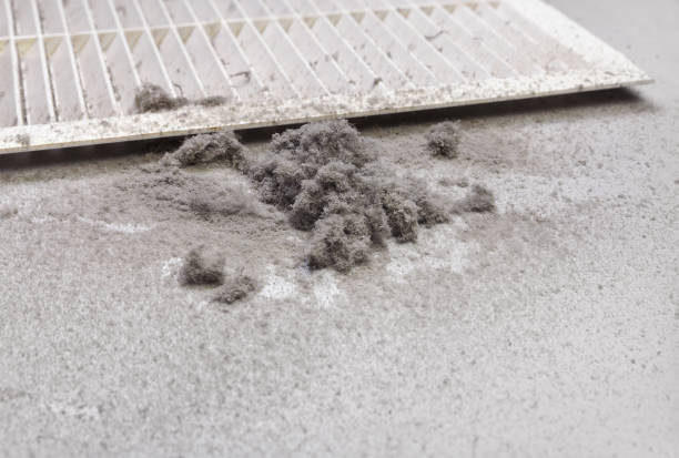 Best Air Duct Cleaning Near Me  in Harvey, IL