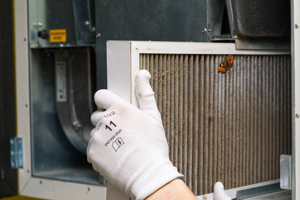 Best Air Duct Mold Removal  in Harvey, IL