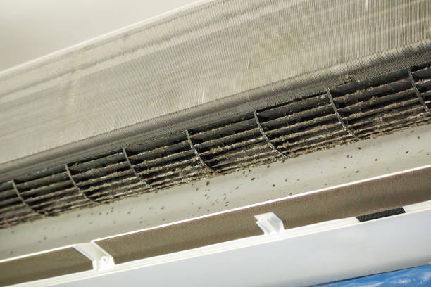 Best Home Air Vent Cleaning  in Harvey, IL